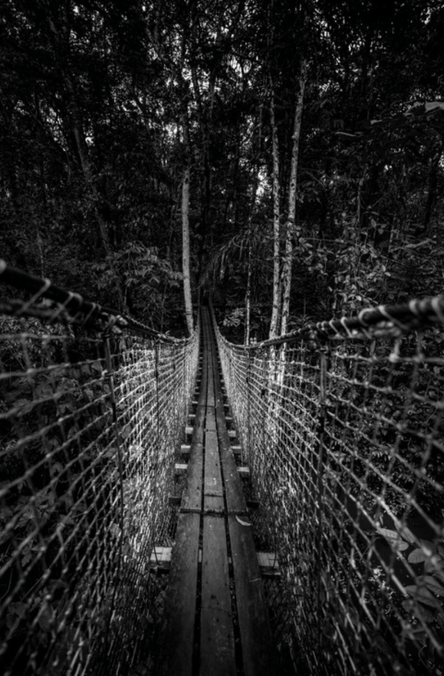 PONT SUSPENDU 