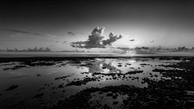 REFLET