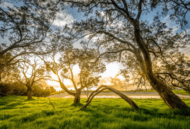 COIN TRANQUILLE